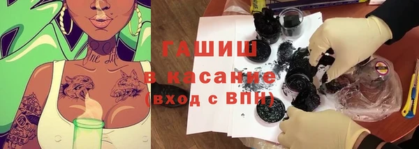 сатива Беломорск