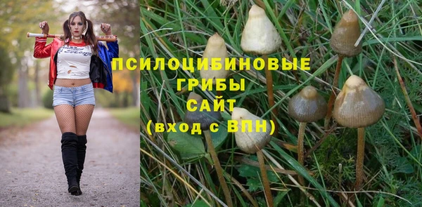 ALPHA PVP Белокуриха