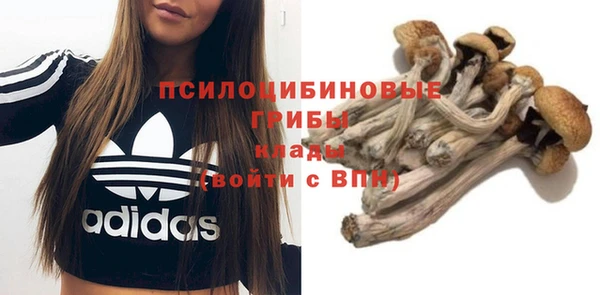 амф Белоозёрский