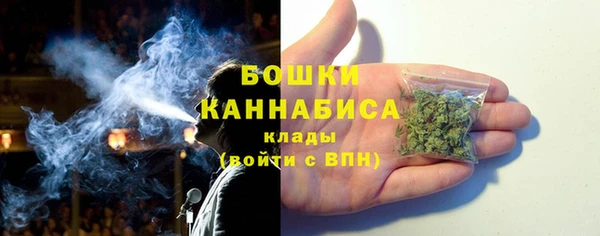 ALPHA PVP Белокуриха