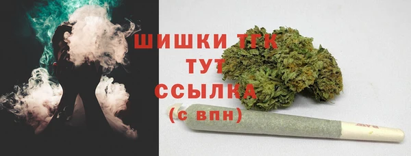 ALPHA PVP Белокуриха
