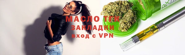 сатива Беломорск