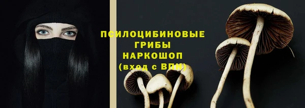 амф Белоозёрский