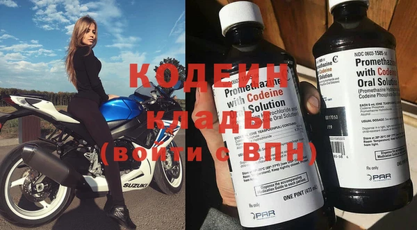 сатива Беломорск