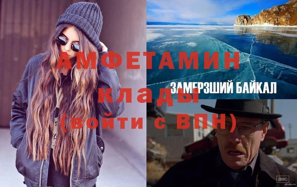 сатива Беломорск