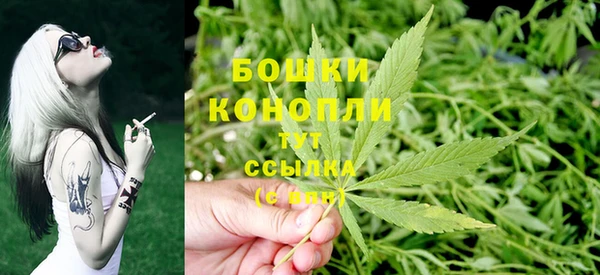 ALPHA PVP Белокуриха