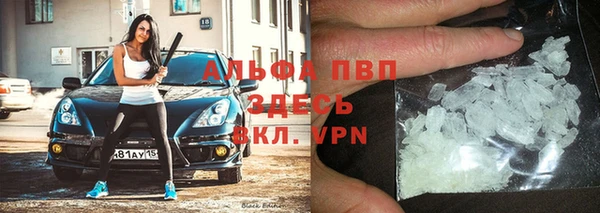 сатива Беломорск