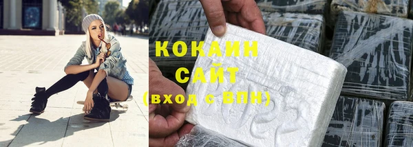 сатива Беломорск